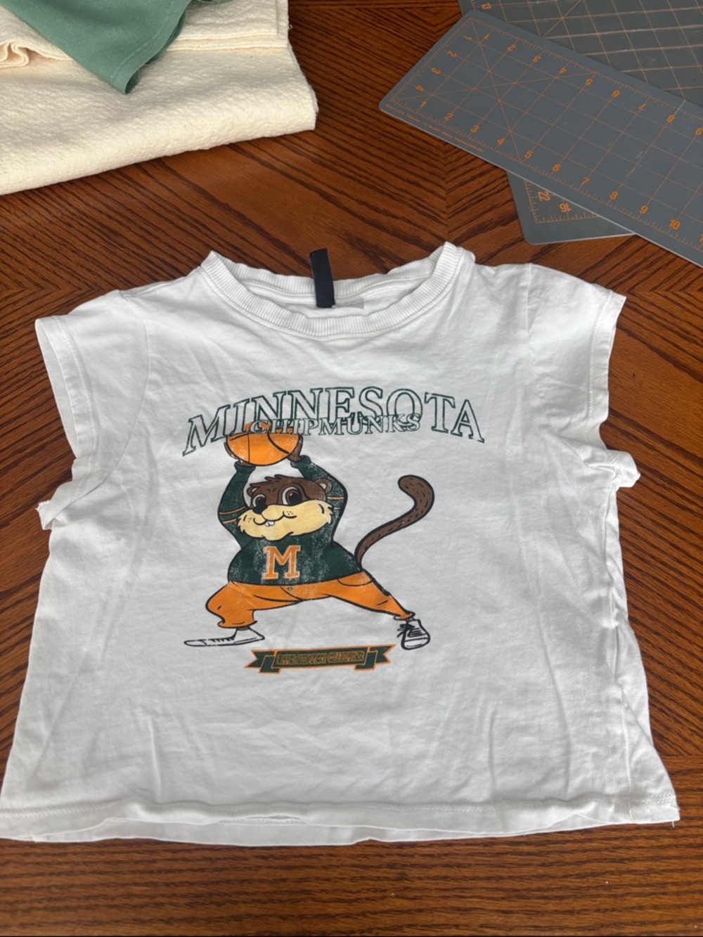 H&M White Kids Minnesota Chipmunks Graphic Tee with Green and Orange Print